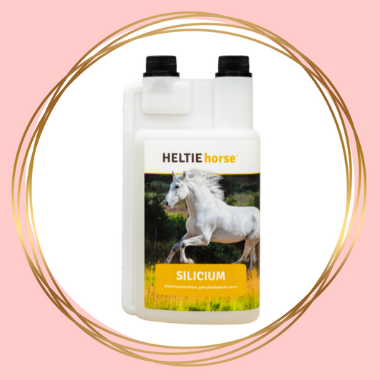 HELTIE Horse | Silicium