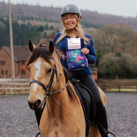 Hilton Herbs Calm & Collected – natuurlijk supplement voor rust en ontspanning bij paarden