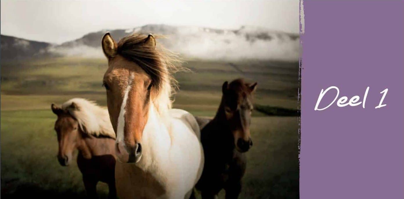 Horse Essentials boek van Elvira Noot over aromatherapie en essentiële oliën voor paarden