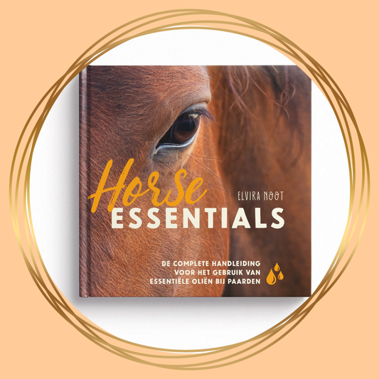 Horse Essentials boek van Elvira Noot – praktische gids over essentiële oliën, aromatherapie en natuurlijke ondersteuning voor paarden