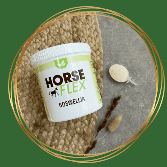 HorseFlex Boswellia aanvullend diervoeder voor paarden