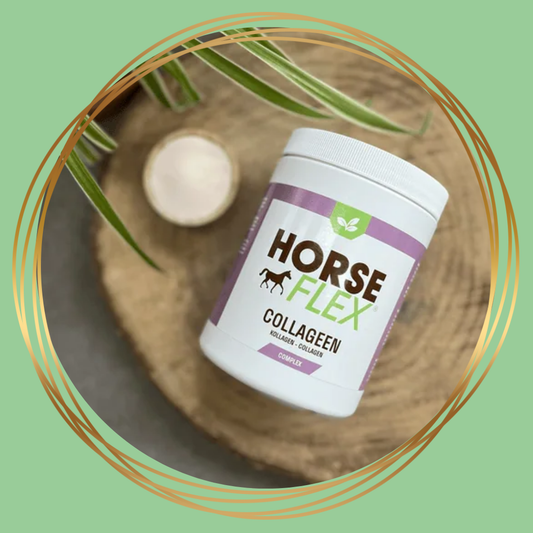 HorseFlex Collageen Complex als aanvullend diervoeder voor het bewegingsapparaat van paarden