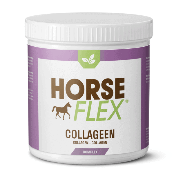Collageen type I en II van HorseFlex als natuurlijke aanvulling voor paarden
