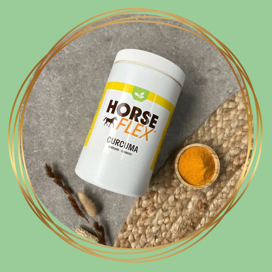 HorseFlex Curcuma poeder als natuurlijk supplement voor paarden
