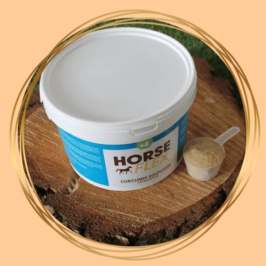 HorseFlex Curcumix Souplesse aanvullend diervoeder voor paarden ter ondersteuning van gewrichten en mobiliteit.