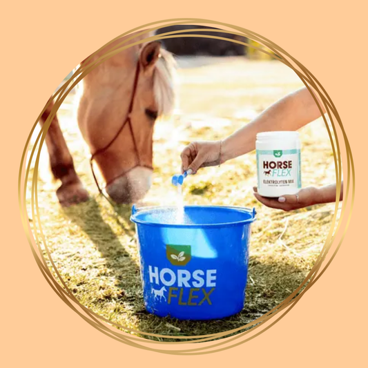HorseFlex Elektrolyten Mix, suikervrije mineralenmix ter ondersteuning van vochtbalans bij paarden.