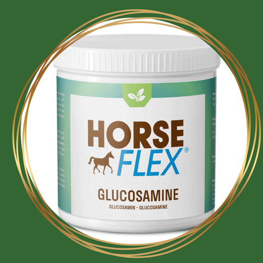 HorseFlex Glucosamine Puur aanvullend diervoeder voor paarden ter ondersteuning van gewrichten en kraakbeen.