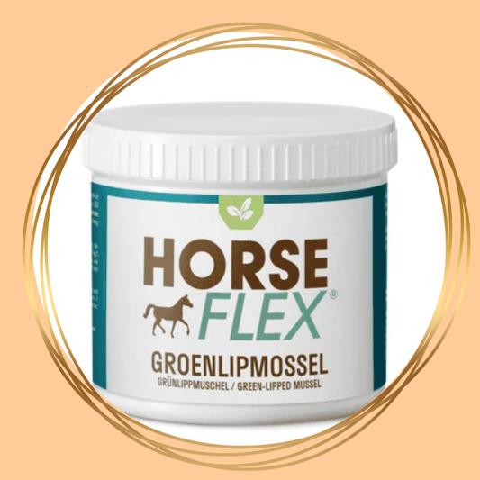HorseFlex Groenlipmossel poeder voor paarden, aanvullend diervoeder ter ondersteuning van gewrichten en spieren.