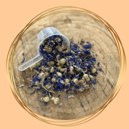 HorseFlex Korenbloem natuurlijk voedermiddel voor paarden