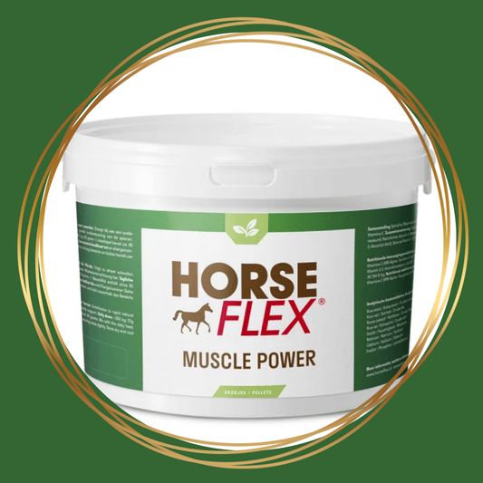 HorseFlex Muscle Power brokjes voor paarden ter ondersteuning van spieropbouw, spierkracht en herstel.