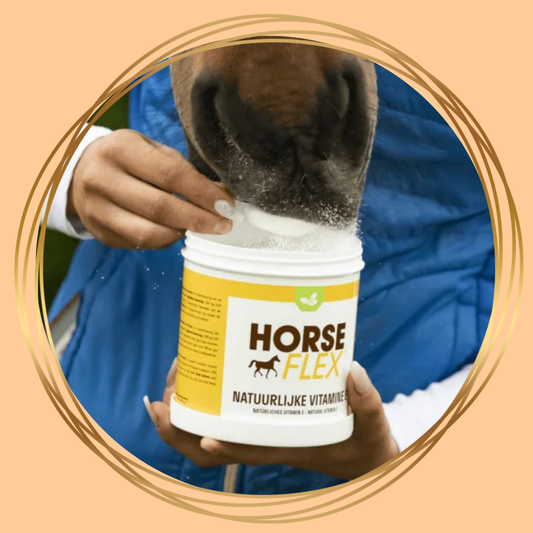 HorseFlex Natuurlijke Vitamine E – ondersteunt spieren, spierherstel en vruchtbaarheid bij paarden, 100% natuurlijk en zonder selenium