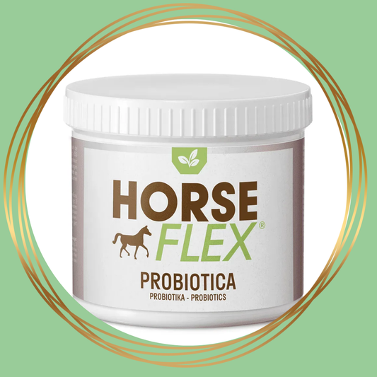 HorseFlex Probiotica, aanvullend diervoeder ter ondersteuning van de darmflora en spijsvertering van paarden.