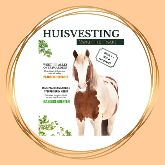 Magazine Huisvesting vanuit het paard deel 1 – basisprincipes voor paardvriendelijke huisvesting en natuurlijke leefomstandigheden