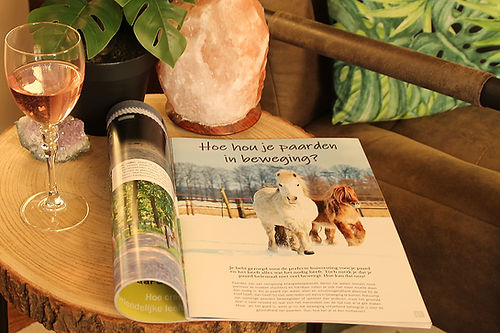 Magazine Huisvesting vanuit het paard deel 2 – praktische inzichten voor natuurlijk huisvesten, beweging en sociaal contact bij paarden