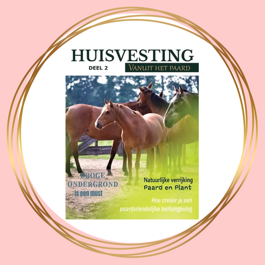Magazine Huisvesting vanuit het paard deel 2 – praktische inzichten voor natuurlijk huisvesten, beweging en sociaal contact bij paarden
