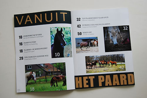 Magazine Huisvesting vanuit het paard deel 3 – inspiratie voor paardvriendelijke inrichting, natuurlijke beweging en welzijn