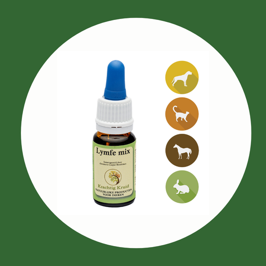 Krachtig Kruid Lymfe mix 10 ml voor hond, kat, konijn en paard