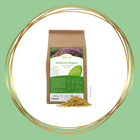 PerNaturam | Kretenzische Oregano