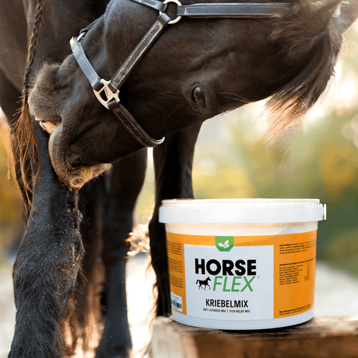 HorseFlex | Kriebelmix