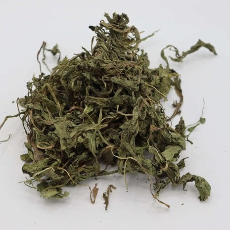 Herbimals paardenbloemblad grof – Taraxacum officinale diervoeder van A+ kwaliteit uit Polen