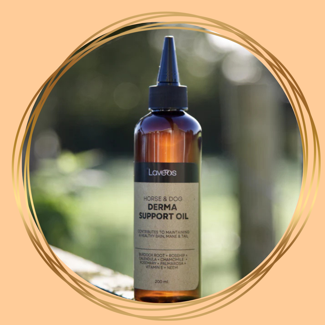 Laveos Derma Support Oil – natuurlijke huidolie voor paarden en honden met botanische ingrediënten