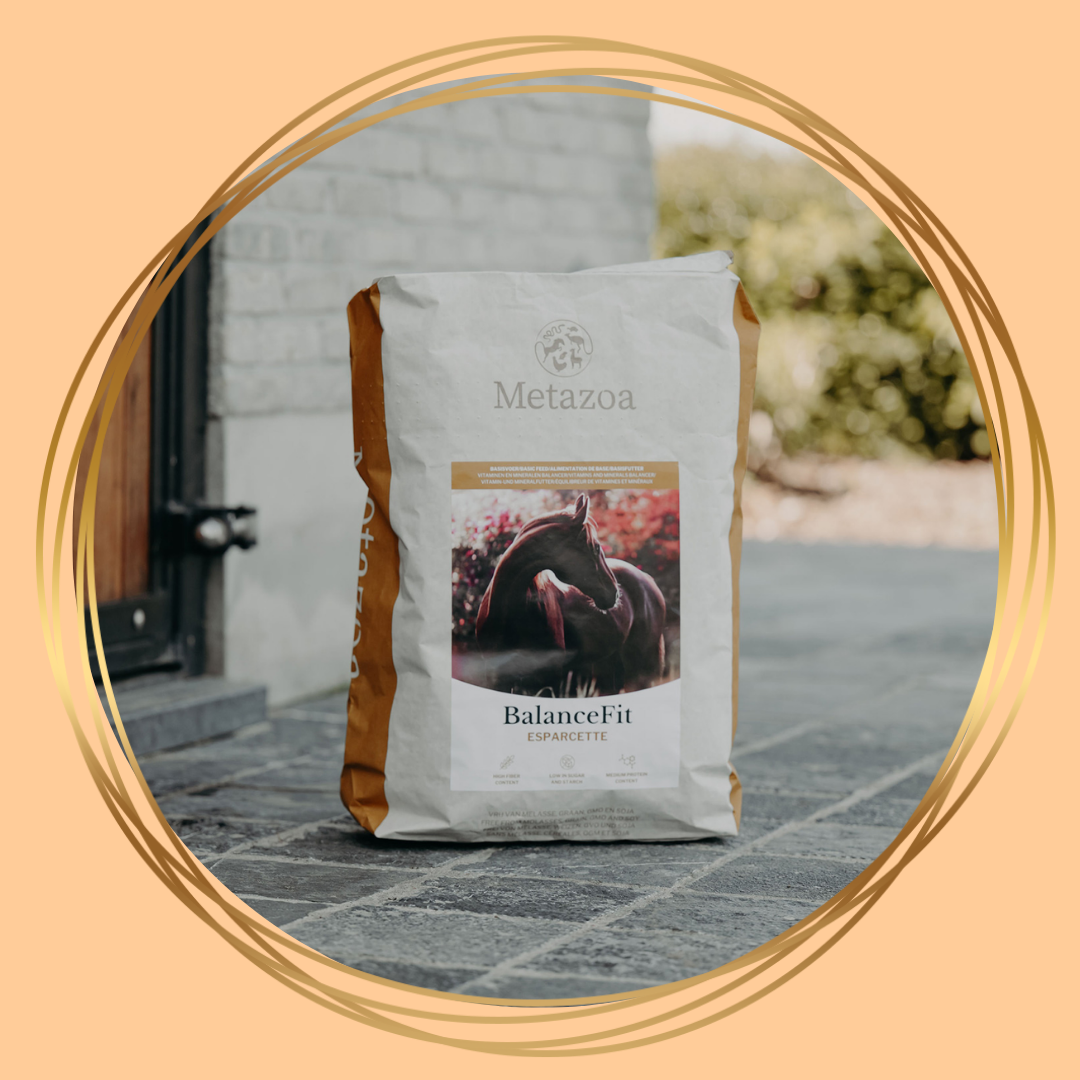 Metazoa BalanceFit Esparcette – natuurlijke balancer voor paarden met esparcette en lijnzaad
