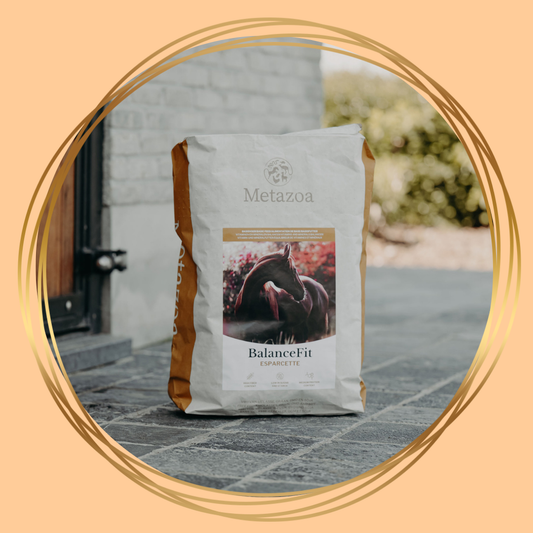Metazoa BalanceFit Esparcette – natuurlijke balancer voor paarden met esparcette en lijnzaad