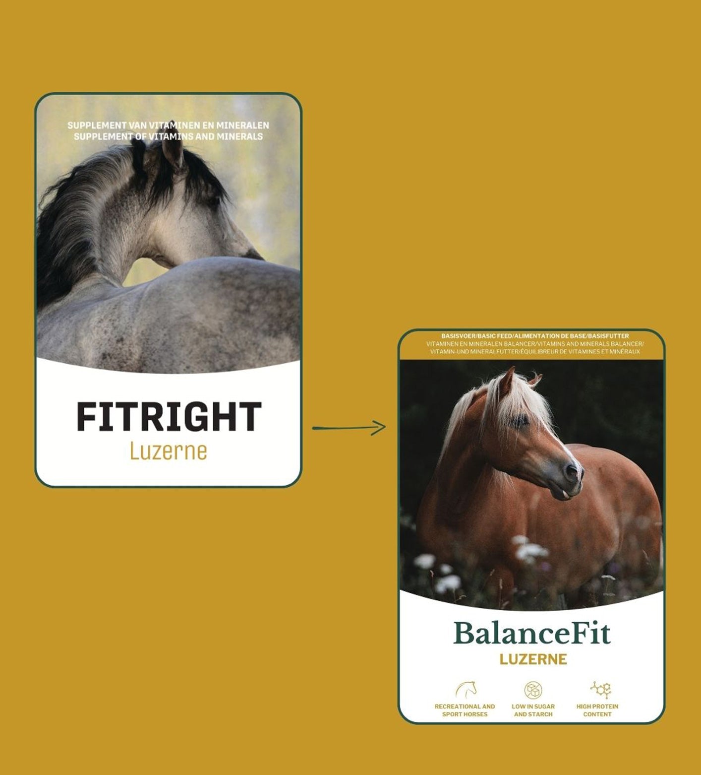 Metazoa BalanceFit Luzerne – graanvrij en suikervrij paardenvoer met luzerne