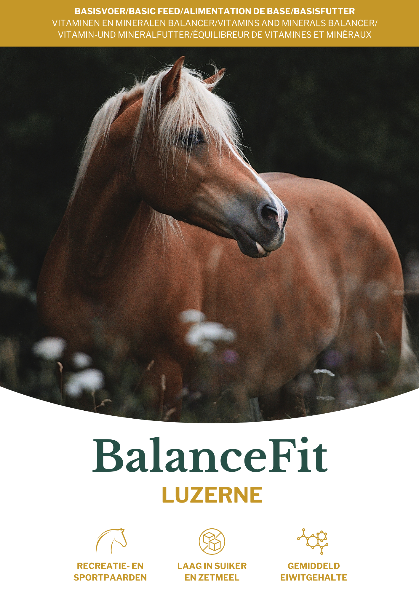Graanvrije balancer voor paarden – Metazoa BalanceFit Luzerne rijk aan eiwitten en voedingsstoffen