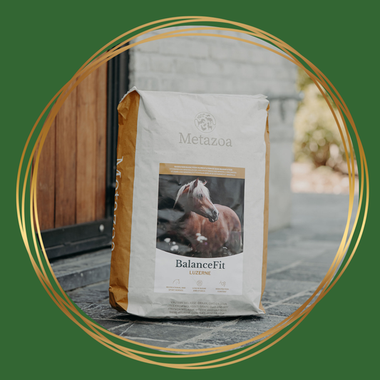 Metazoa BalanceFit Luzerne – luzerne-balancer voor paarden, ondersteunt spieropbouw en herstel