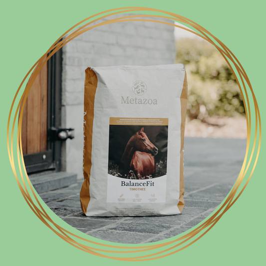 Metazoa BalanceFit Timothee – natuurlijke timothee balancer voor paarden, ondersteunt gezonde spijsvertering
