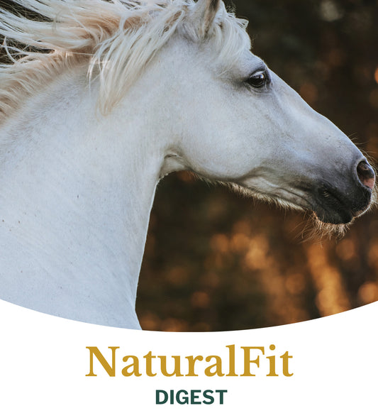 Natuurlijk supplement Metazoa NaturalFit Digest met esparcette voor gezonde darmen bij paarden