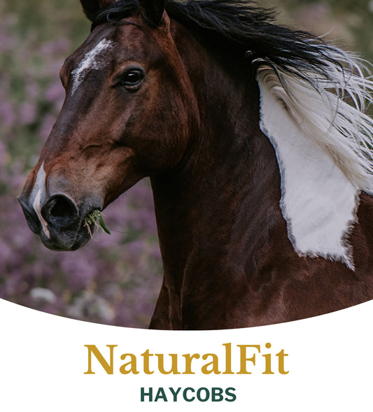 Natuurlijk vezelrijke Metazoa NaturalFit Haycobs met timothee voor paarden met gevoelige darmen
