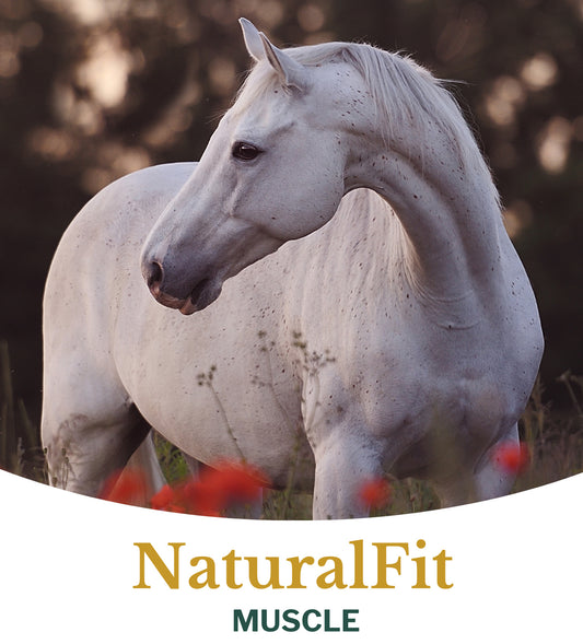 Natuurlijk voer Metazoa NaturalFit Muscle voor gezonde spieren bij sportpaarden