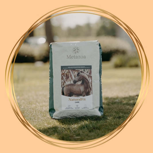 Metazoa NaturalFit Care met timothee voor paarden ter ondersteuning van gezondheid en welzijn