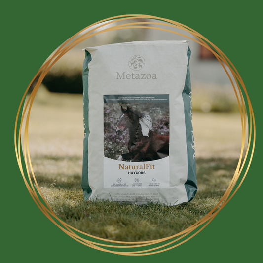 Metazoa NaturalFit Haycobs met timotheegras als gezonde ruwvoervervanger voor paarden