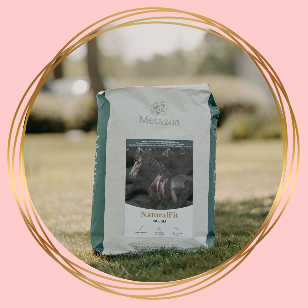 Metazoa NaturalFit Muesli als gezonde paardenvoeding voor energie en vitaliteit