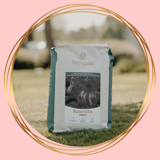 Metazoa NaturalFit Muesli als gezonde paardenvoeding voor energie en vitaliteit