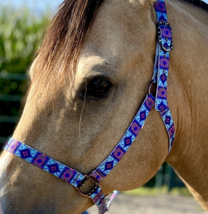 Schulz Equine - Halster Aztec Bubblegum