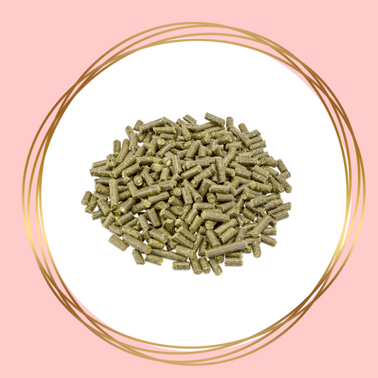 Metazoa | MuscleFit HP23