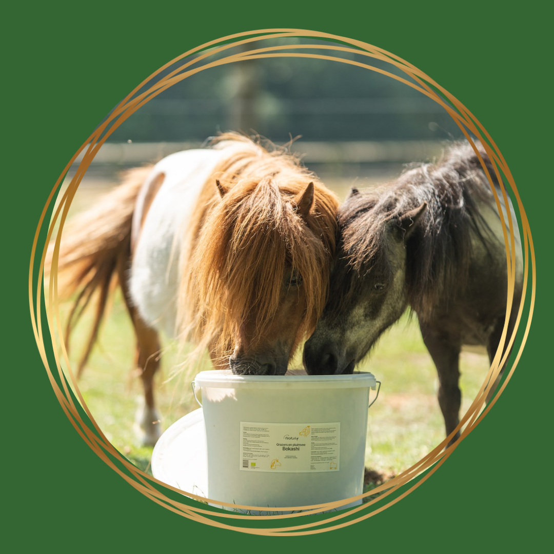 Natuly Bokashi voor paarden, gefermenteerde biologische aanvulling op een graanvrij rantsoen.