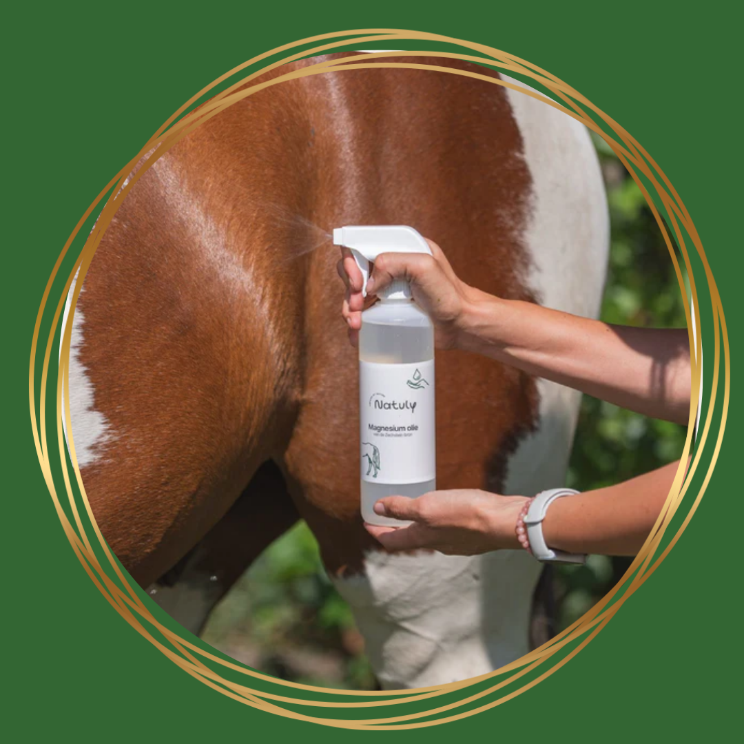 Natuly Magnesiumoliespray voor paarden, natuurlijke ondersteuning met pure magnesiumolie.