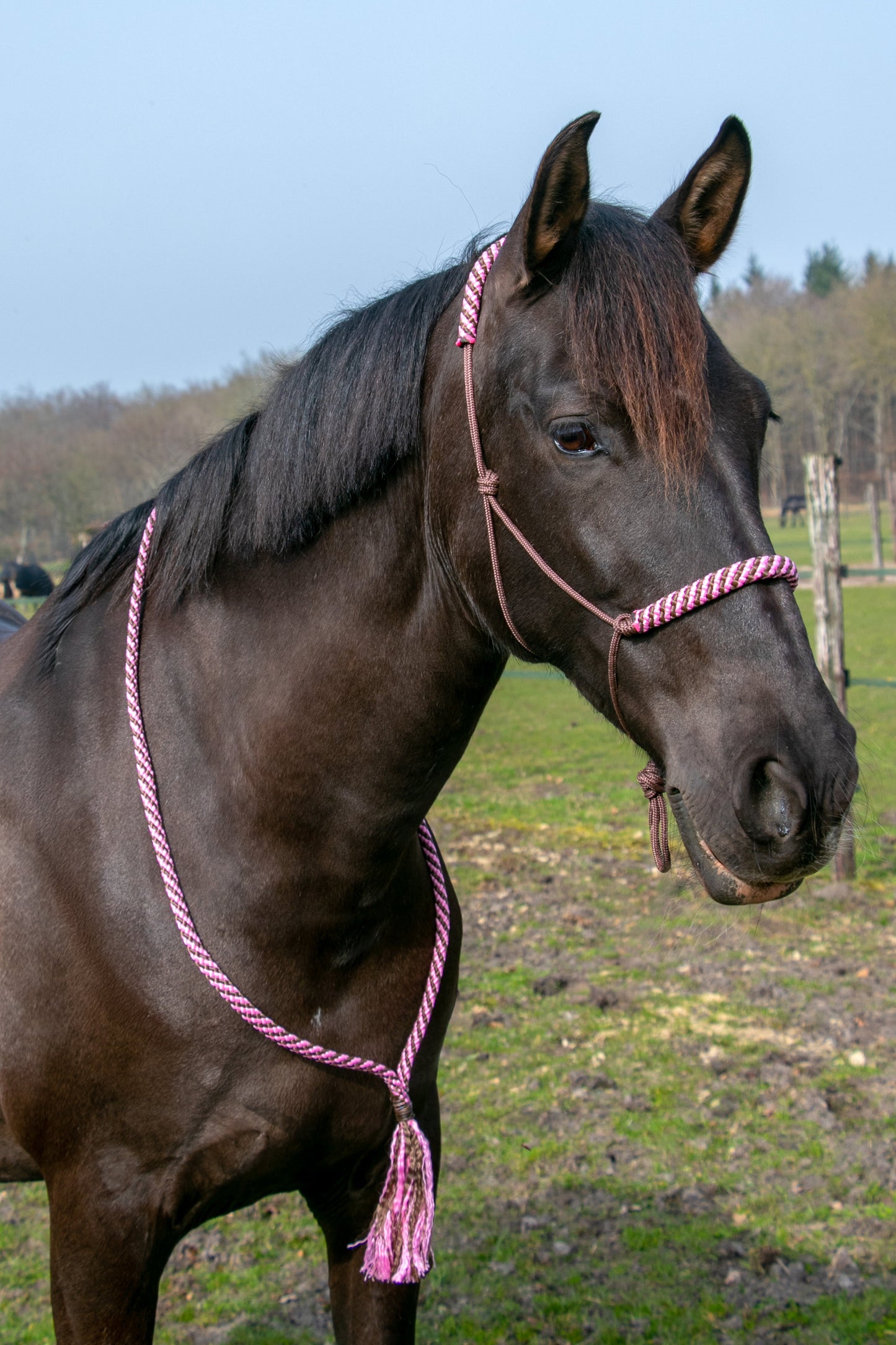 Touwhalster set raspberry