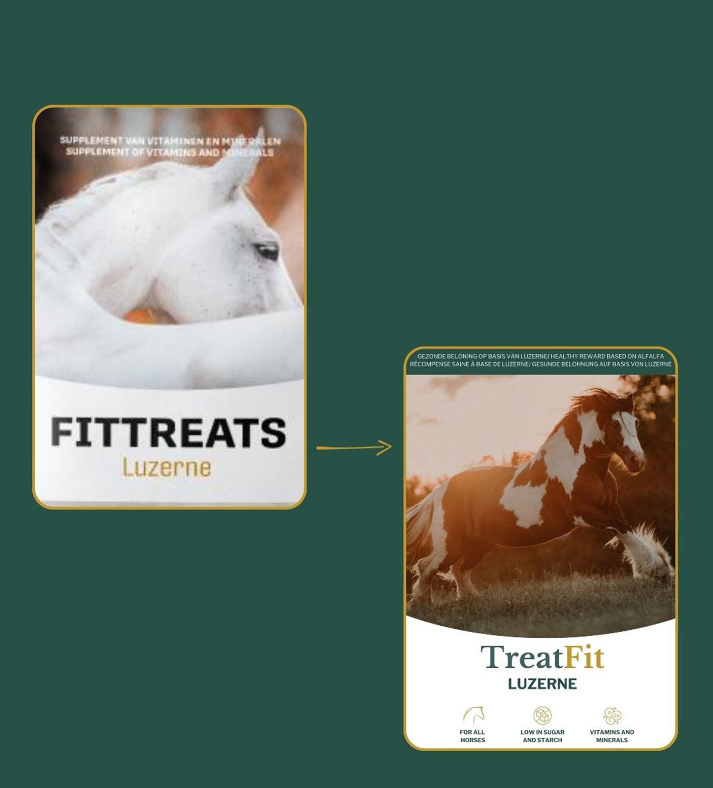 Metazoa TreatFit Luzerne als gezonde traktatie voor paarden en pony’s