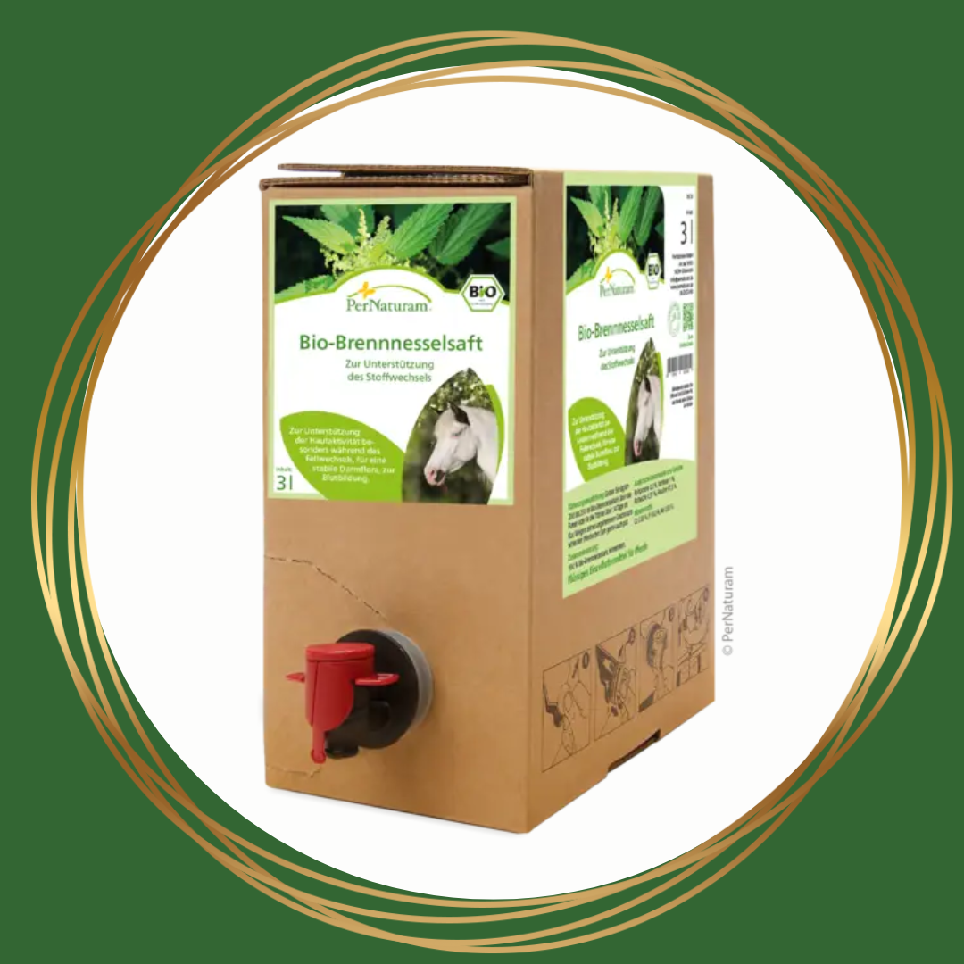 PerNaturam Brandnetelsap ondersteunt spijsvertering en vachtwisseling bij paarden op natuurlijke wijze