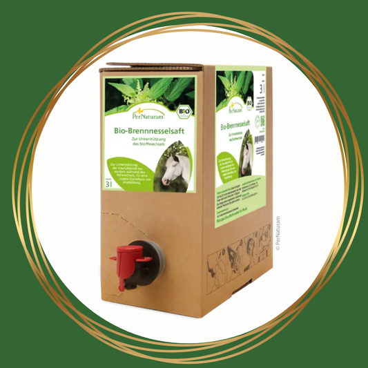 PerNaturam Brandnetelsap ondersteunt spijsvertering en vachtwisseling bij paarden op natuurlijke wijze