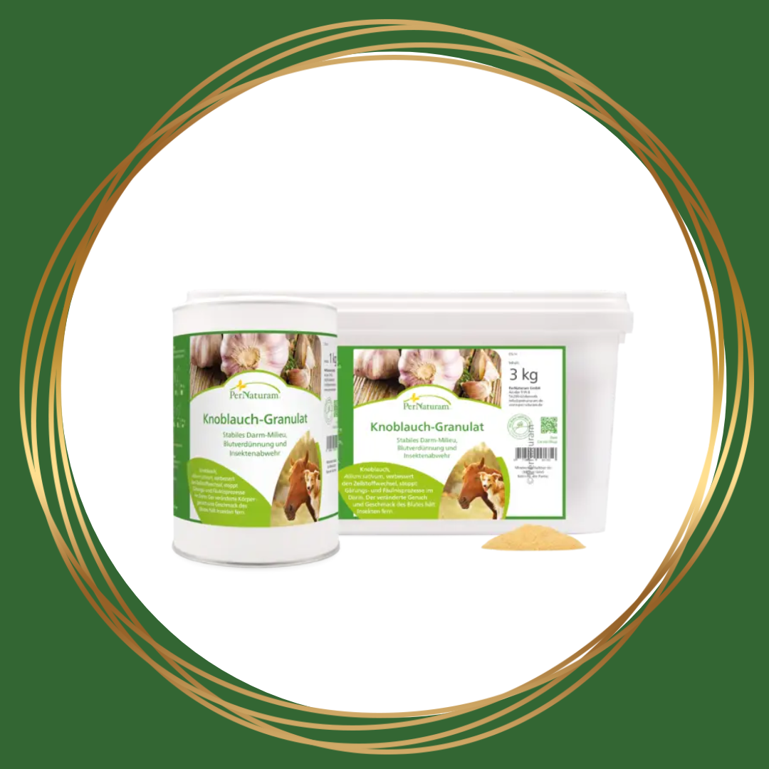 Knoflookgranulaat van PerNaturam voor paarden ter ondersteuning van darmen, bloed en insectenwering