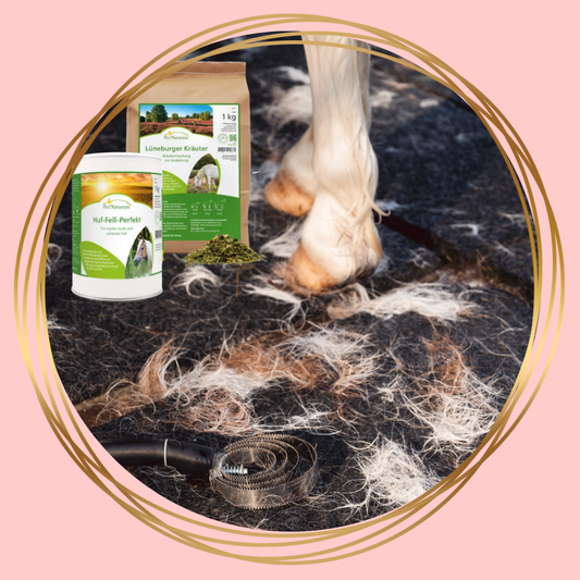 PerNaturam Vachtwisselpakket voor paarden, natuurlijke ondersteuning tijdens de vachtwisseling.