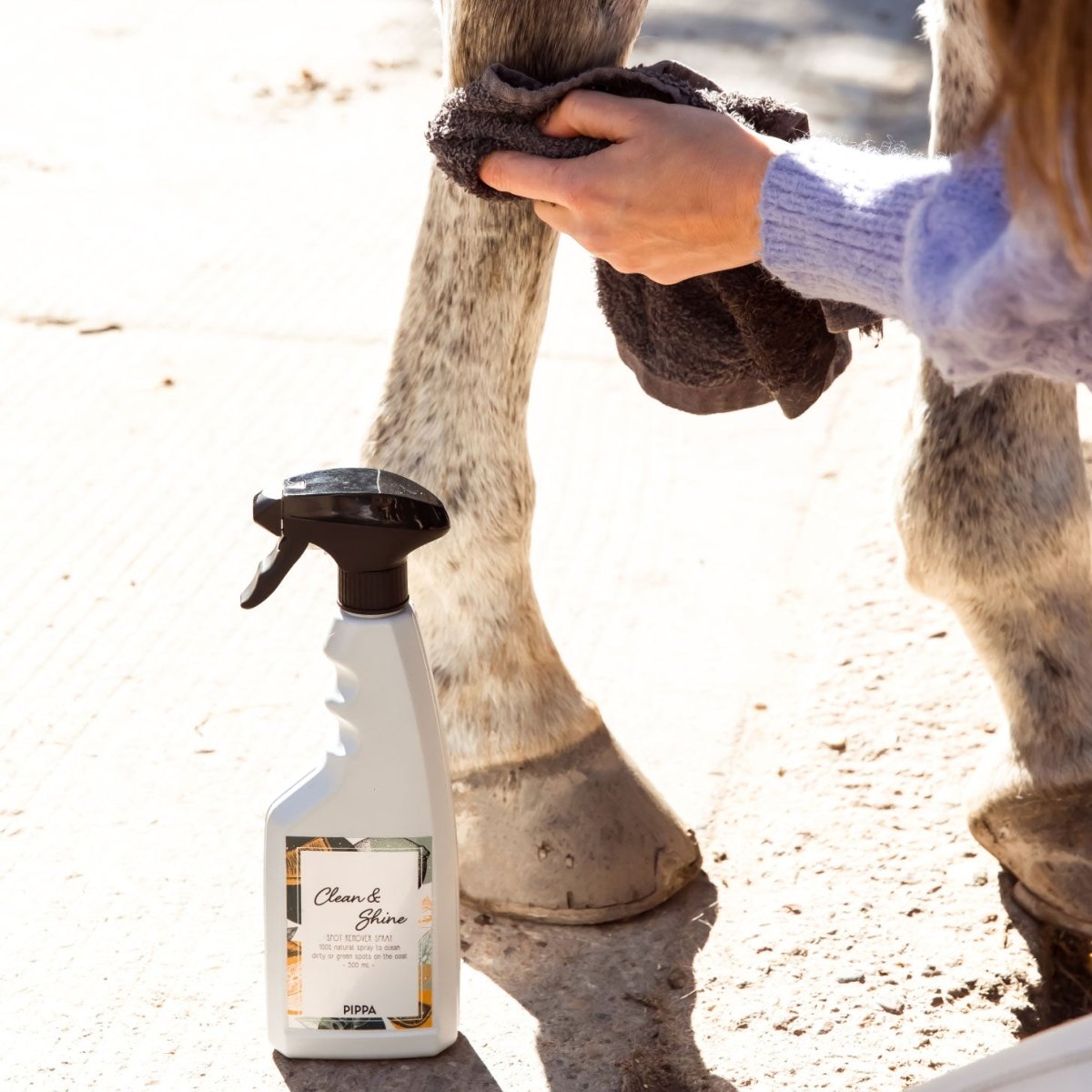 PIPPA Clean & Shine Spot Remover Spray