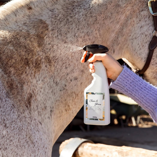 PIPPA Clean & Shine Spot Remover Spray